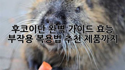 후코이단 완벽 가이드: 효능, 부작용, 복용법, 추천 제품까지