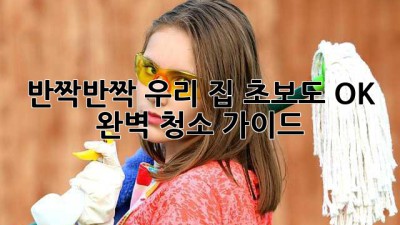 ✨반짝반짝 우리 집✨ 초보도 OK! 완벽 청소 가이드