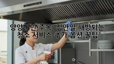 양양군민 주목! ✨ 집안일 해방되는 청소 서비스 추가 옵션 꿀팁 🏡