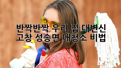 ✨ 반짝반짝 우리 집 대변신! 고창 성송면 대청소 비법 🏡
