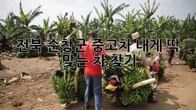 전북 순창군 중고차: 내게 딱 맞는 차 찾기